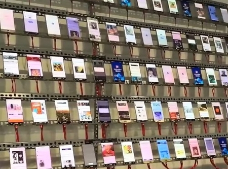 Ферма тикток-аккаунтов